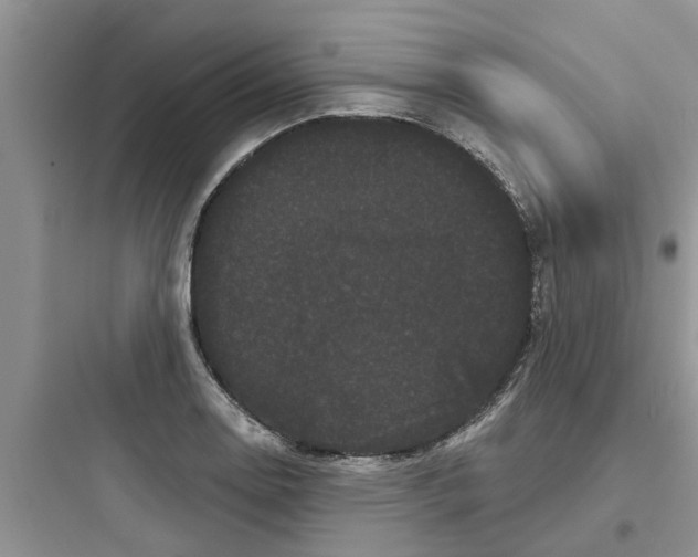 X0000097631130200803211803