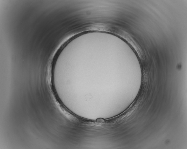 X0000097631131200803211803