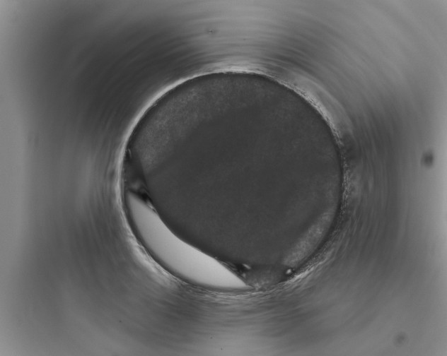 X0000097631132200803211803