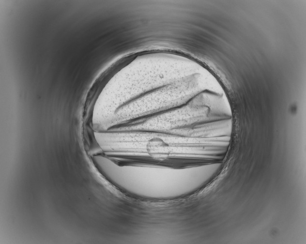 X0000097631134200803211803