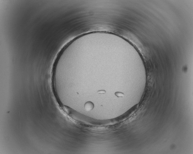 X0000097631135200803211803