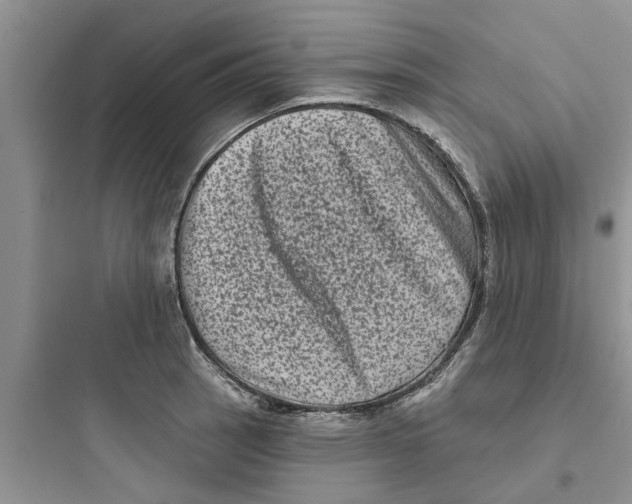 X0000097631137200803211803