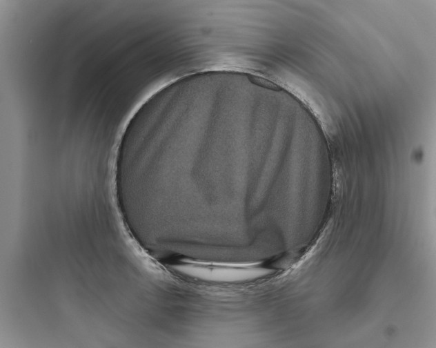 X0000097631138200803211803