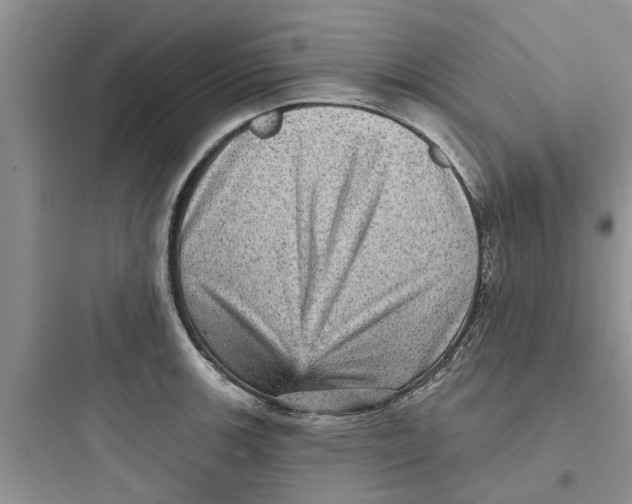 X0000097631139200803211803