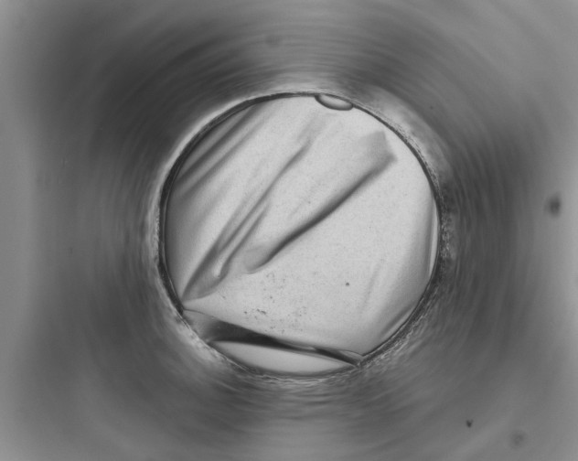 X0000097631140200803211803