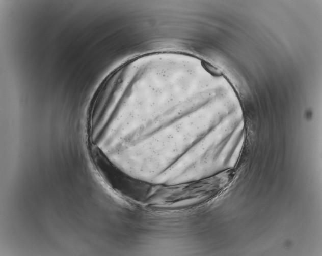 X0000097631142200803211803