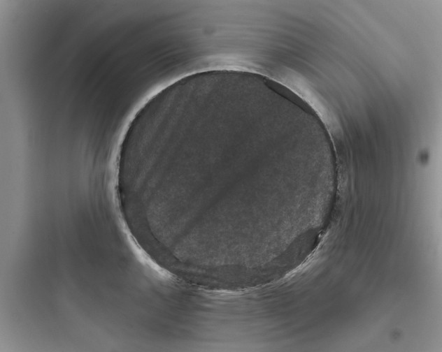 X0000097631144200803211803