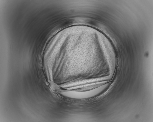 X0000097631145200803211803