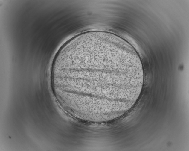 X0000097631146200803211803