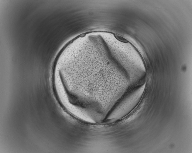 X0000097631149200803211803