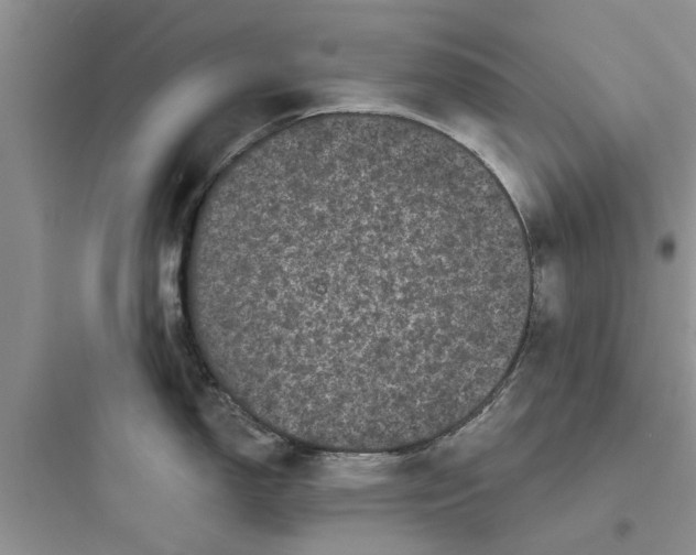 X0000097631150200803211803