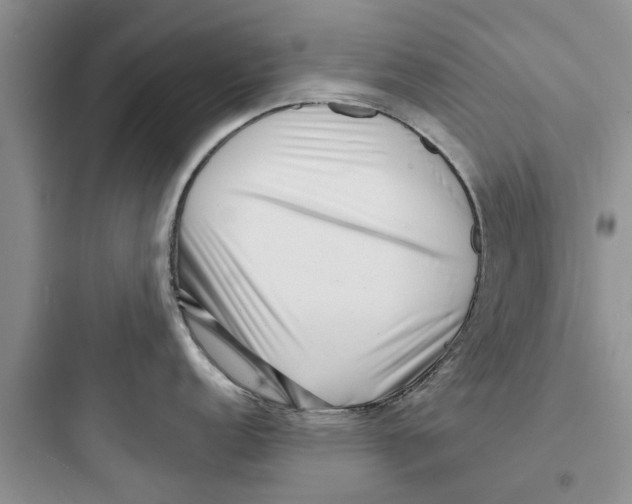 X0000097631152200803211803