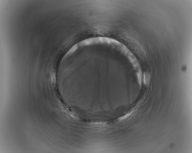 X0000097631155200803211802