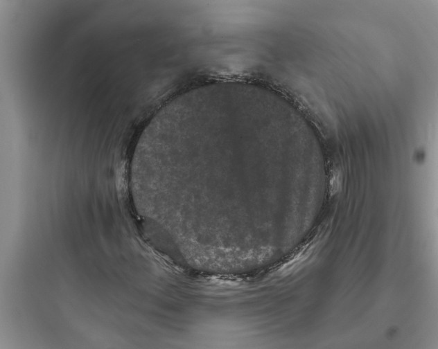 X0000097631156200803211802