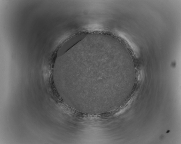 X0000097631157200803211802