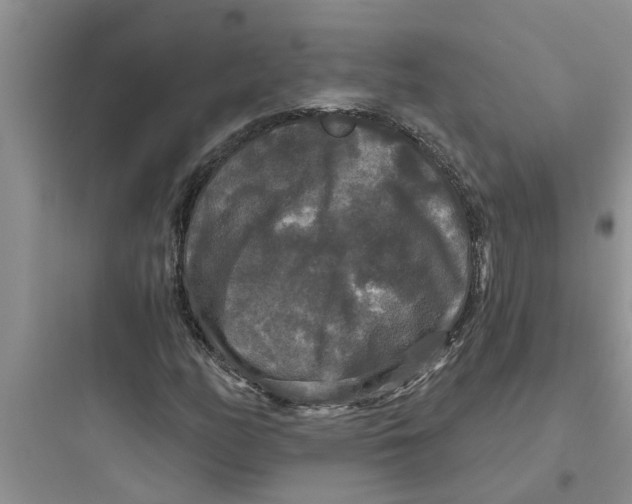 X0000097631158200803211802