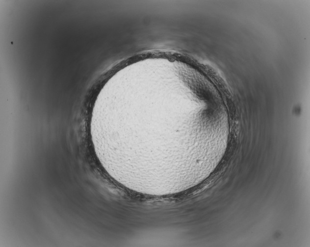 X0000097631159200803211802