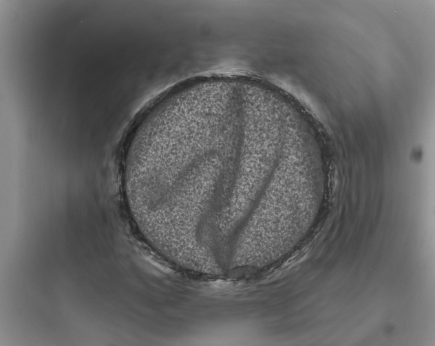 X0000097631160200803211802