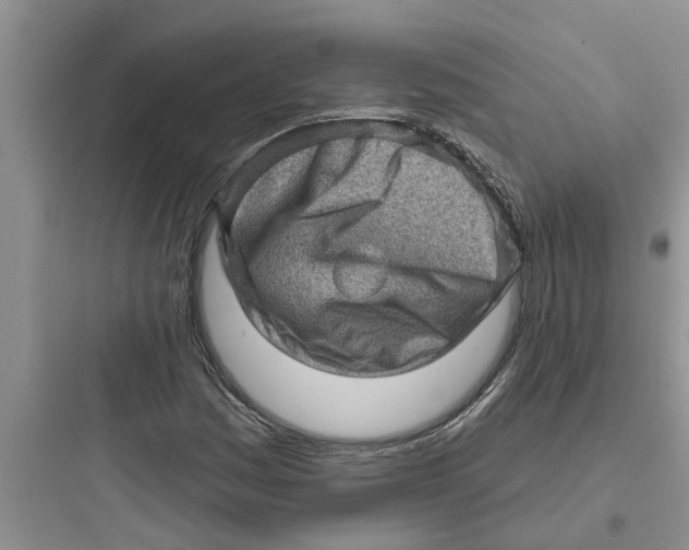 X0000097631161200803211802