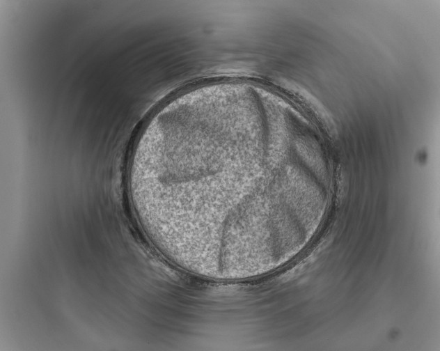 X0000097631162200803211802