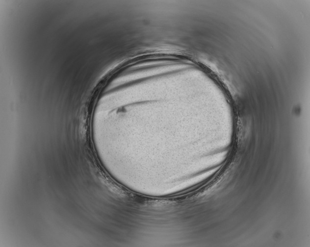 X0000097631163200803211802