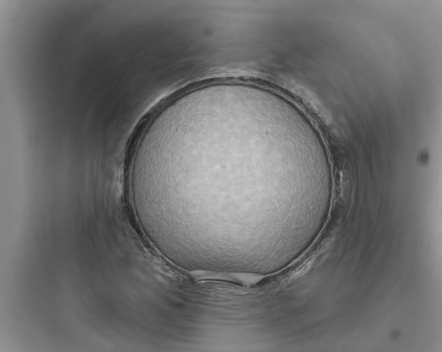 X0000097631165200803211802