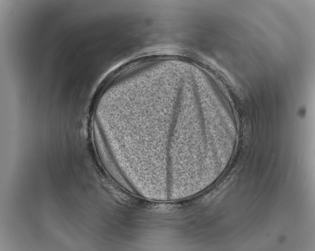 X0000097631166200803211802