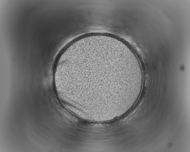 X0000097631167200803211802