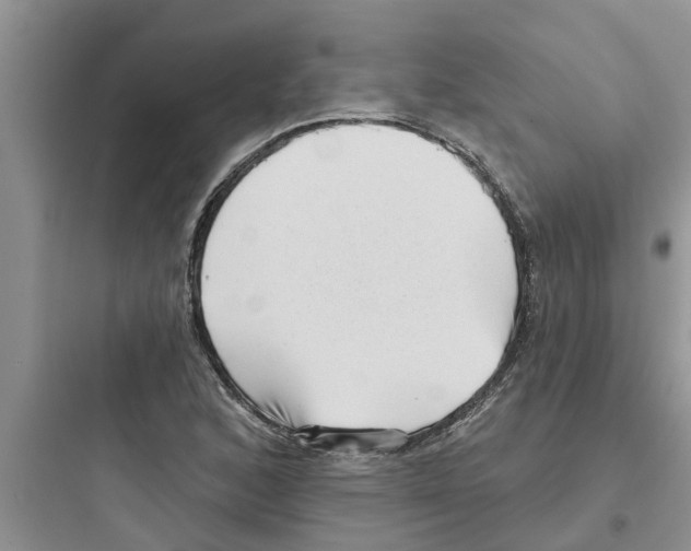 X0000097631168200803211802