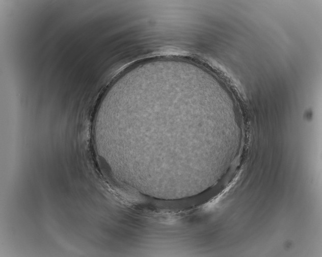 X0000097631169200803211802