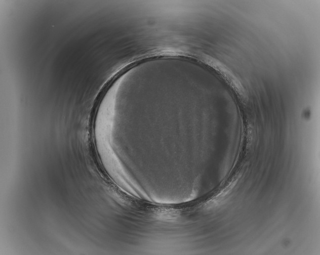 X0000097631170200803211802