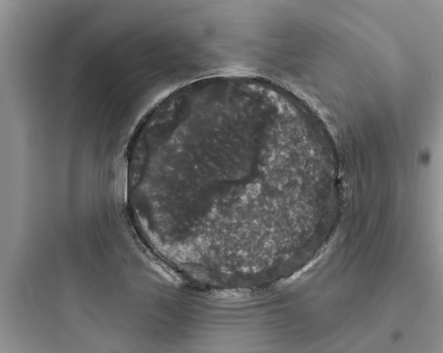 X0000097631171200803211802