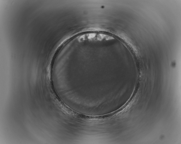 X0000097631173200803211802