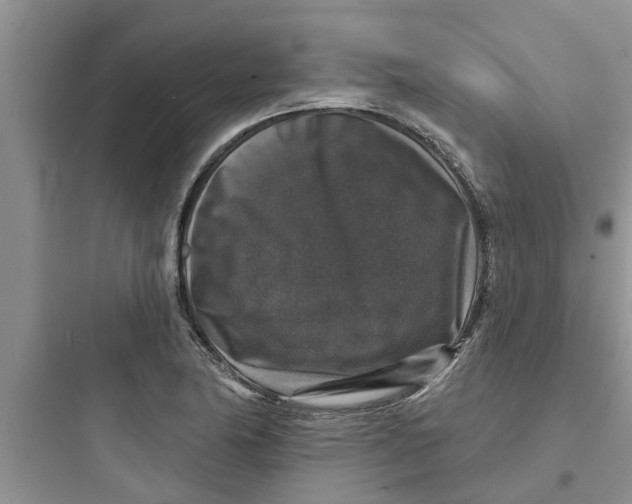 X0000097631174200803211802