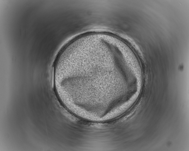 X0000097631175200803211802