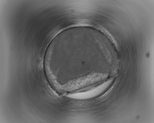 X0000097631177200803211802