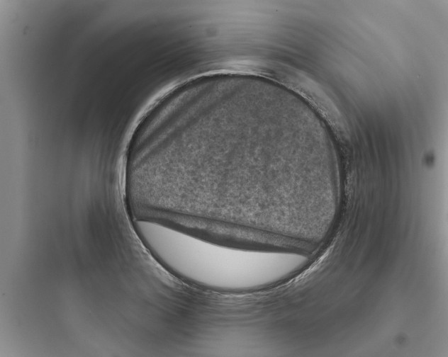 X0000097631180200803211802