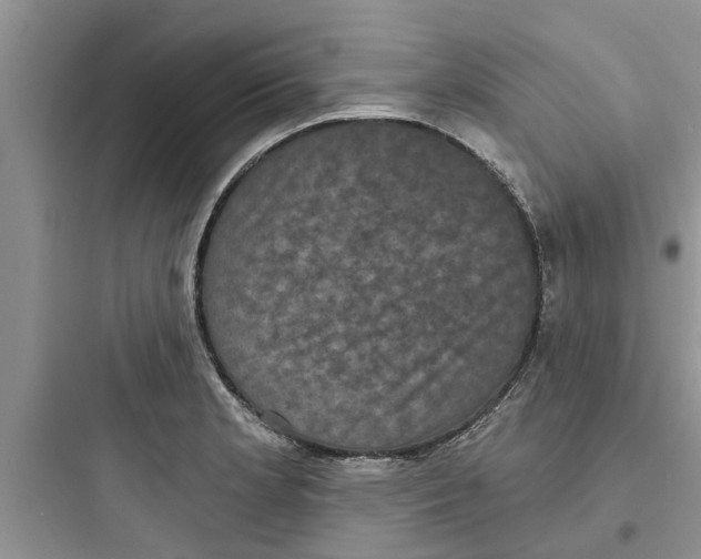 X0000097631181200803211802