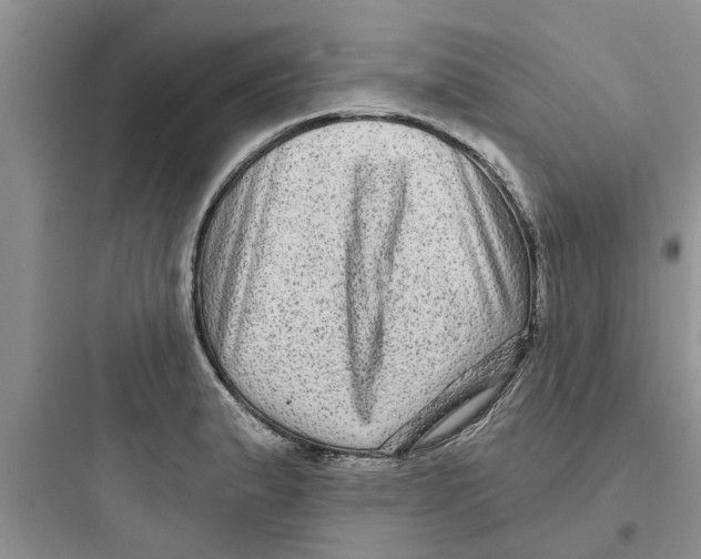 X0000097631183200803211802