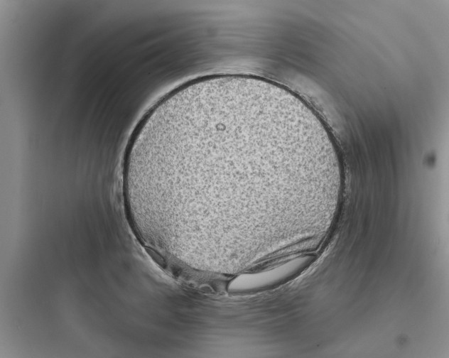 X0000097631184200803211802