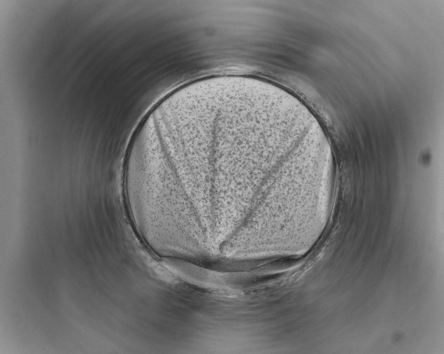 X0000097631186200803211802