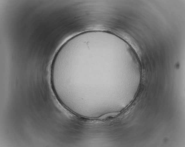 X0000097631187200803211802