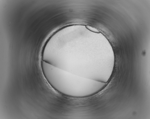 X0000097631188200803211802