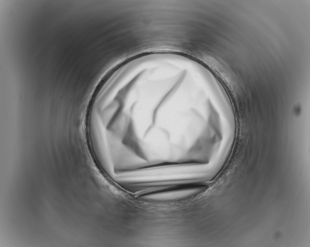 X0000097631189200803211802