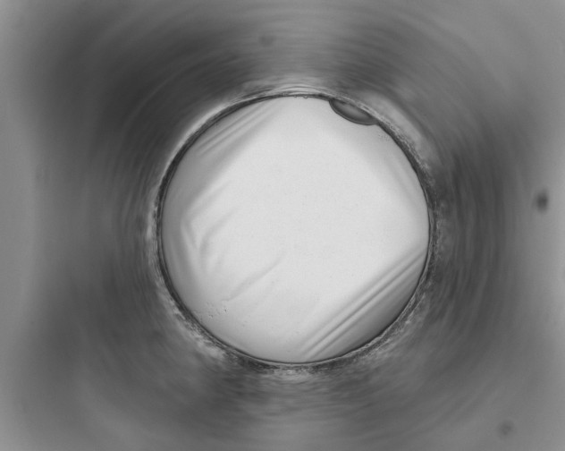 X0000097631190200803211802