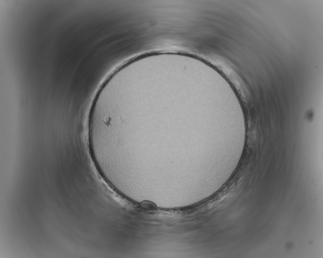 X0000097631191200803211802