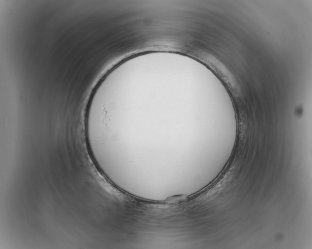 X0000097631192200803211802