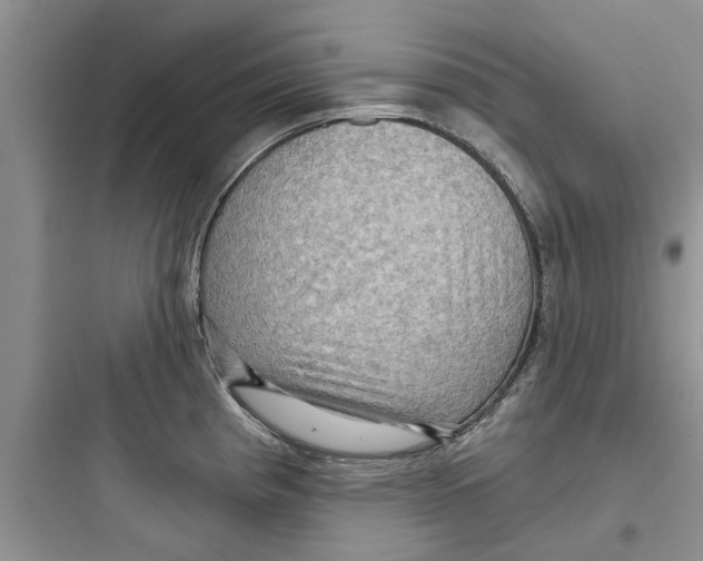 X0000097631193200803211802