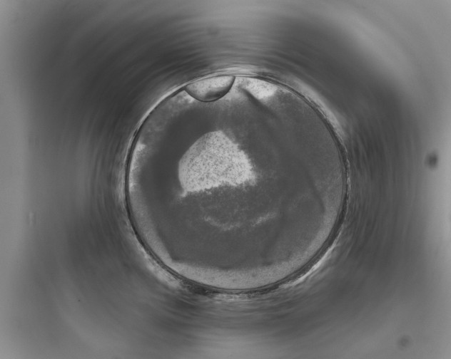 X0000097631194200803211802