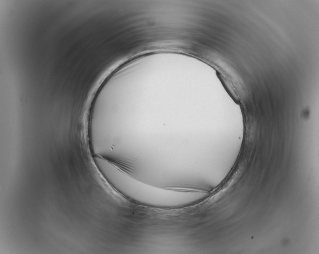 X0000097631196200803211802